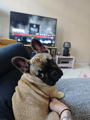 Abby 